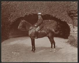 Horses, Mr. R.H. Halstead and Friends Riding and Driving in Central Park.