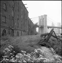 [Looking west across the grounds of the Empire Stores, 53-83 Water Street.]