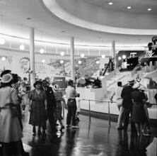 [Display at the New York World's Fair.]