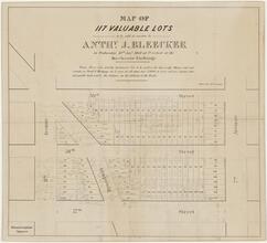 A Map of 117 Valuable Lots