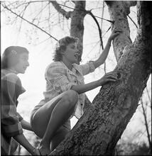 Betsy Von Furstenberg [Climbing a tree.]