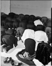 [Muslim worshippers kneeling.]