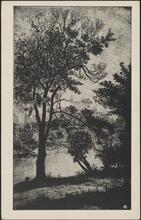 [Near the Lake in Central Park, N. Y. C..]