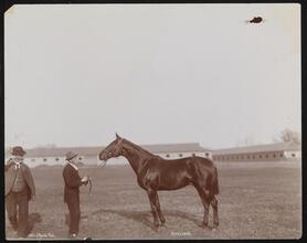 Racehorses, "Kennebunk."