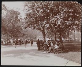 [Union Sq. Sun Dodgers, N.Y.]