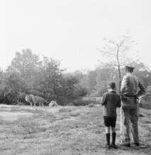 Zoos--Bronx Zoo