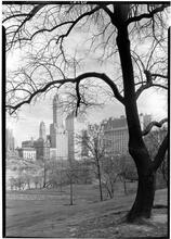 New York City views. Sherry-Netherlander, Savoy Plaza, Savoy from park.