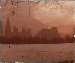 [Central Park.]