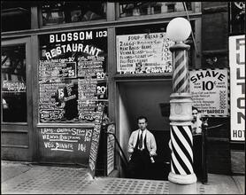 Blossom Restaurant