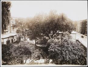 [Yard of Watt-Pinkney Mansion.]