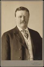 [Theodore Roosevelt.]