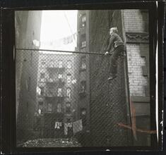 Shoe Shine Boy [Mickey climbing a fence.]