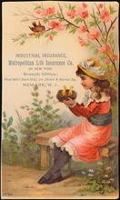 Industrial Insurance, Metropolitan Life Insurance Co. of New York