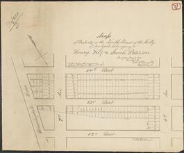 Map of Property in the Ninth Ward in the City of New York Belonging to Henry, Fitz, and Jacob Peterson