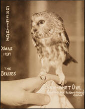 "Greetings, Xmas 1937, The Bealses', Saw What Owl"