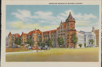 American Museum of Natural History.