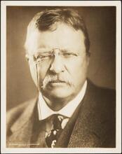 [Theodore Roosevelt.]