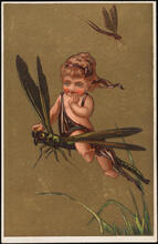[Johnson Bros. & Co.]