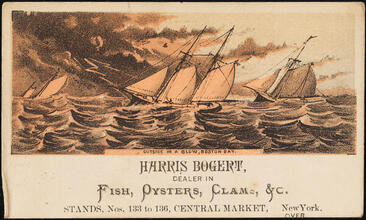 Harris Bogert