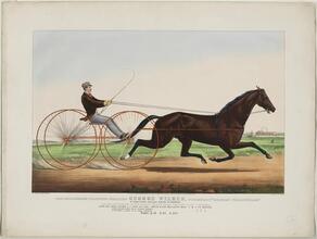 The Celebrated Trotting Stallion George Wilkes, Formerly "Robert Fillingham."