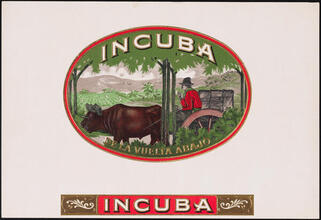 Incuba