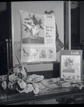 Lord and Taylor