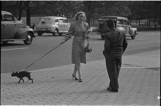 Men Are Such Wolves [Man talking to a woman in the park.]