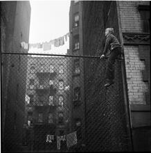 Shoe Shine Boy [Mickey climbing a fence.]