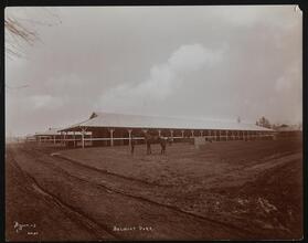 Race Tracks, Belmont Park.