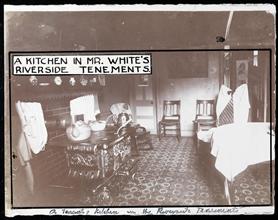 A Kitchen in Mr. White's Riverside Tenements.
