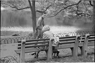 Men Are Such Wolves [Woman on a park bench.]