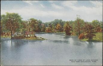 View of Lake Agassiz, New York Zoological Park.