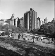 [Central Park.]