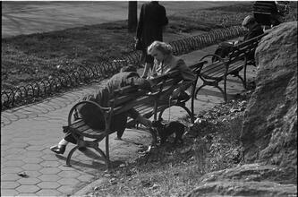 Men Are Such Wolves [Man talking to a woman in the park.]