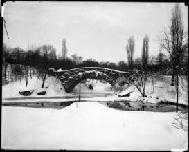 Central Park Snow Scene