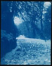 [Icy road along river, Bronx Park.]