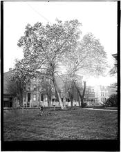 [Street Scene of House, Possibly Sheepshead Bay.]
