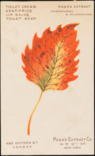Pond's Extract Co.