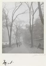 "Mist", 5th Avenue and Central Park by 94th and 95th Streets