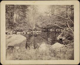 [The placid pool, Central Park.]