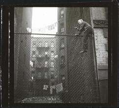 Shoe Shine Boy [Mickey climbing a fence.]