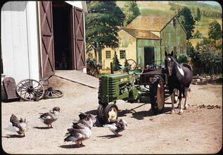 [Unidentified farming display.]