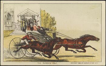 The Parson's Colt.