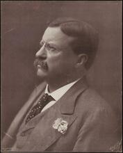[Theodore Roosevelt.]