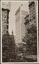 [5th Avenue looking north from 42nd Street.]