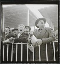 Aqueduct Race Track [Grandstands at the racetrack.]