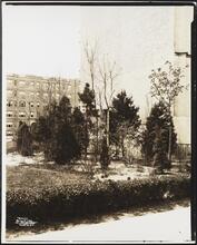 [Jackson Heights golf links.]