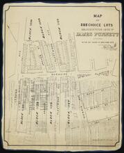 [Map of 205 Choice Lots Belonging to the Heirs of James Punnett, Situated in the 24th Ward of New York City]
