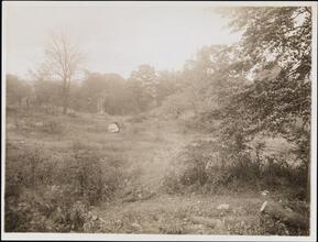 [Moss Estate.]