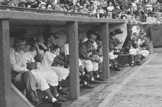Brooklyn Dodgers